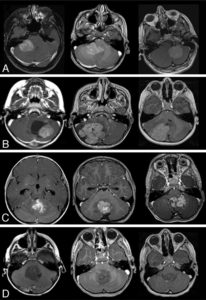 Figure 2 from paper