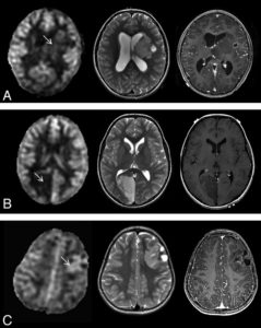 Figure 4 from paper